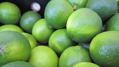В марте в Петербург привезли более 50 тысяч тонн фруктов из 10 стран мира