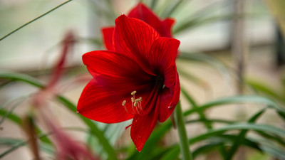 В Ленобласти воздух 19 мая прогреется до 26 градусов