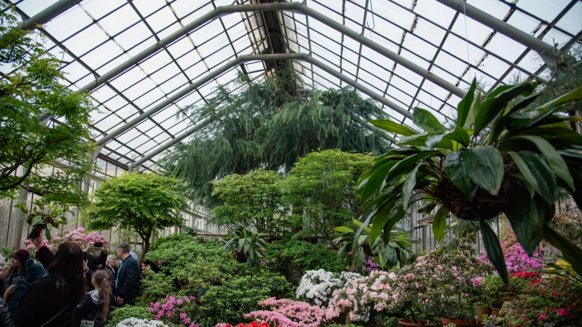 Ботанический сад в Петербурге реконструируют за 258 млн рублей - tvspb.ru