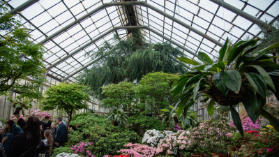 Ботанический сад в Петербурге реконструируют за 258 млн рублей