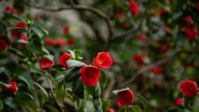 Специалисты объяснили, кому стоит опасаться резкого потепления