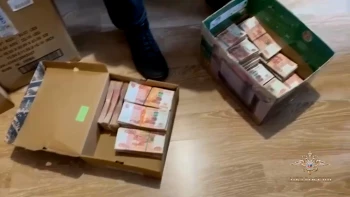 Петербургские полицейские раскрыли схему мошенничества с материнским и земельным капиталами