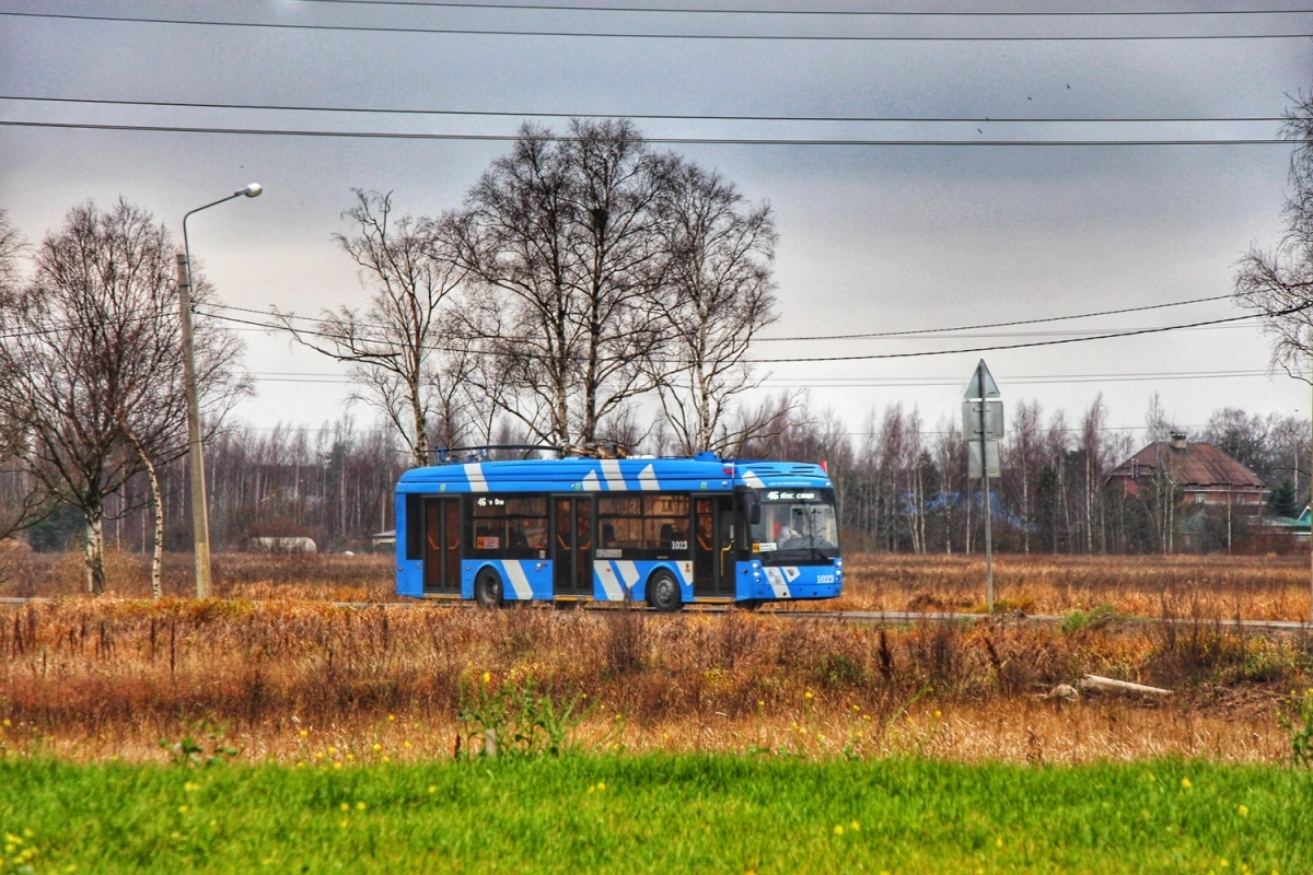 Петербуржцам рассказали, может ли троллейбус выручить трамвай - tvspb.ru