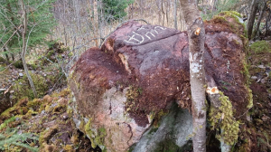 Межевые камни в лесах Ленинградской области