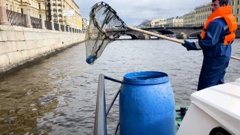 В этом году в Петербурге наведут чистоту в 346 городских водоемах