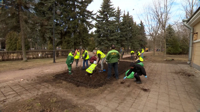 В Петербурге начнутся высадки деревьев и кустарников с 11 апреля