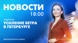 Новости Петербурга к 18:00