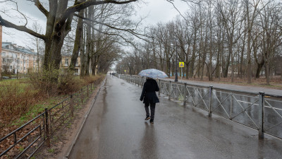Циклон «Бирута» принес в Петербург дожди и ветер