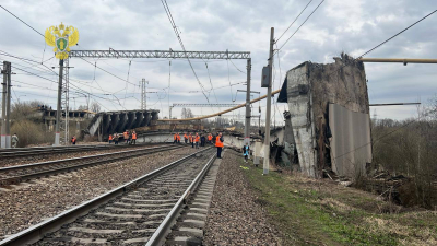 Пятерых человек госпитализировали после обрушения моста в Вязьме