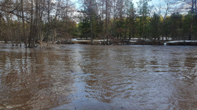 В Оренбуржье затопило национальный парк «Бузулукский бор»