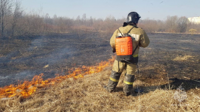 Жителей Ленобласти попросили не сжигать сухую траву самостоятельно