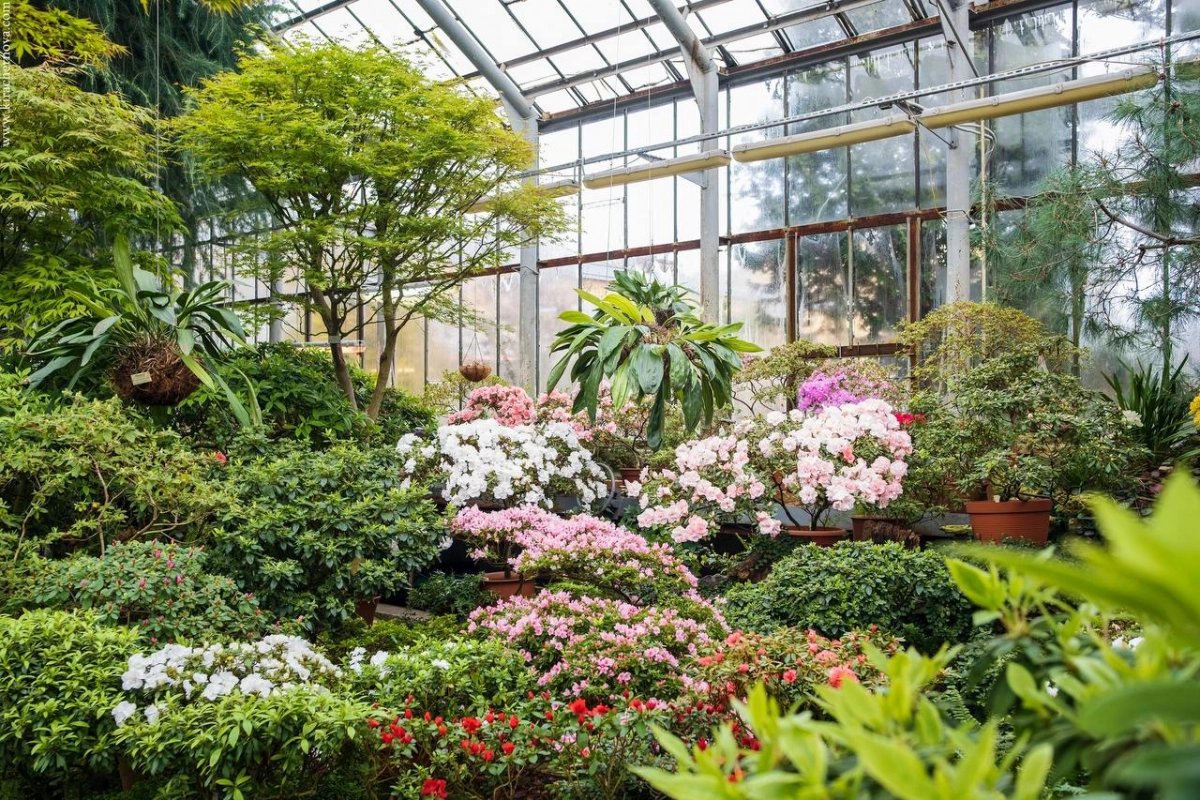 Ботанический сад Петербурга перейдет на летний режим работы 28 апреля - tvspb.ru