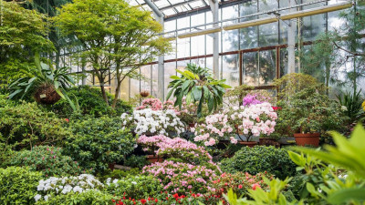 Ботанический сад Петербурга перейдет на летний режим работы 28 апреля