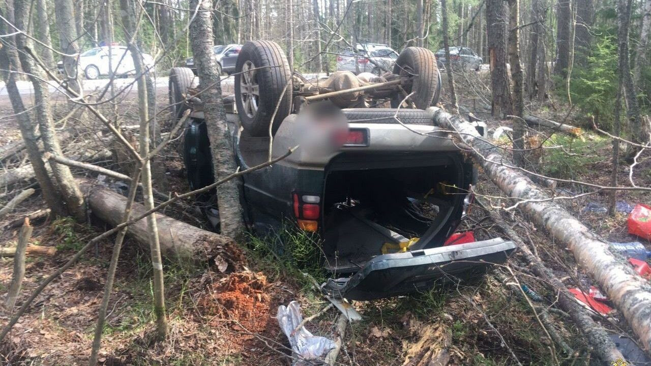 В Ленобласти автомобиль попал в кювет, врезался в дерево и перевернулся |  Телеканал Санкт-Петербург