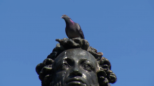 Почему нельзя кормить птиц возле памятников?
