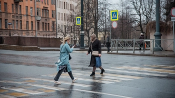 Петербуржцев предупредили о ветре до 18 метров в секунду 31 октября