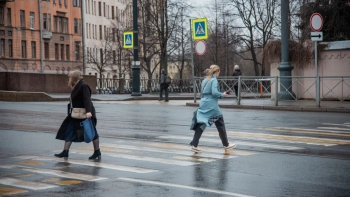 Петербуржцев предупредили о сильном ветре 24 ноября