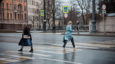 Усиление ветра до 15 м/с ожидается в Петербурге во вторник