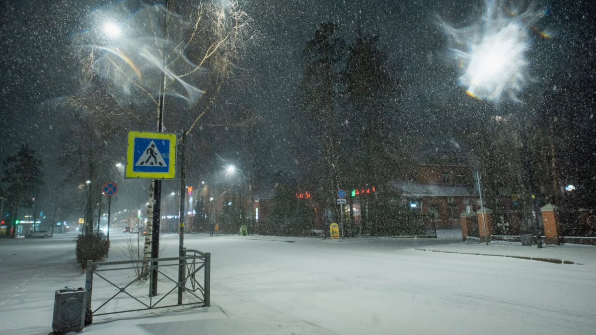 За день в Петербурге выпало 9 миллиметров снега - tvspb.ru