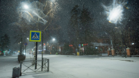 За день в Петербурге выпало 9 миллиметров снега