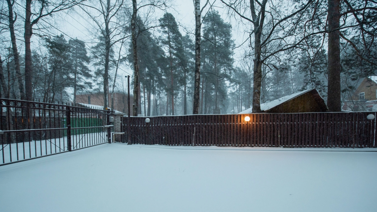 Дождь, снег и гололед: чего ждать жителям Ленобласти от погоды в выходные - tvspb.ru