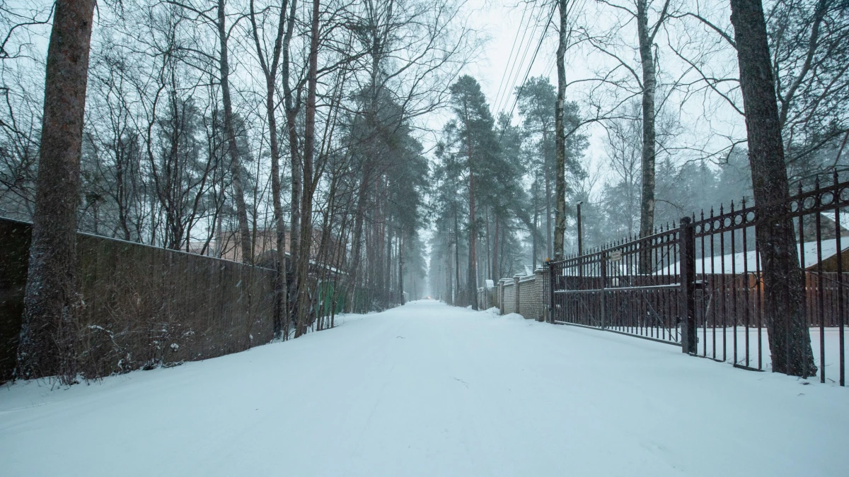 Температура до -17 градусов, снег и гололед: какая погода ждет жителей Ленобласти 14 января - tvspb.ru
