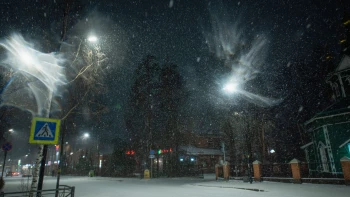 Александр Колесов: Наиболее интенсивный снег в Петербурге пройдёт ночью