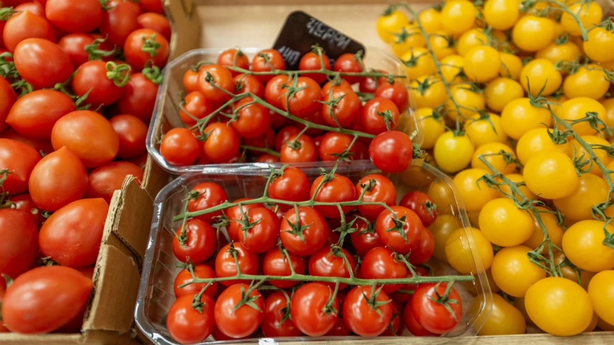 Россиянам объяснили, как томаты восстанавливают мышцы после бега - tvspb.ru