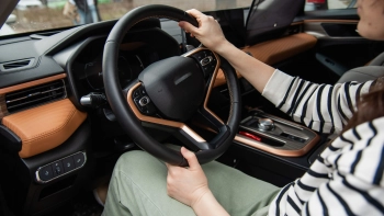 Петербургских автомобилистов предупредили о зайцах на дорогах