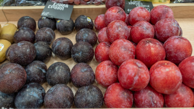 Детокс без жестких диет: нутрициолог рассказала о пользе сливы для организма