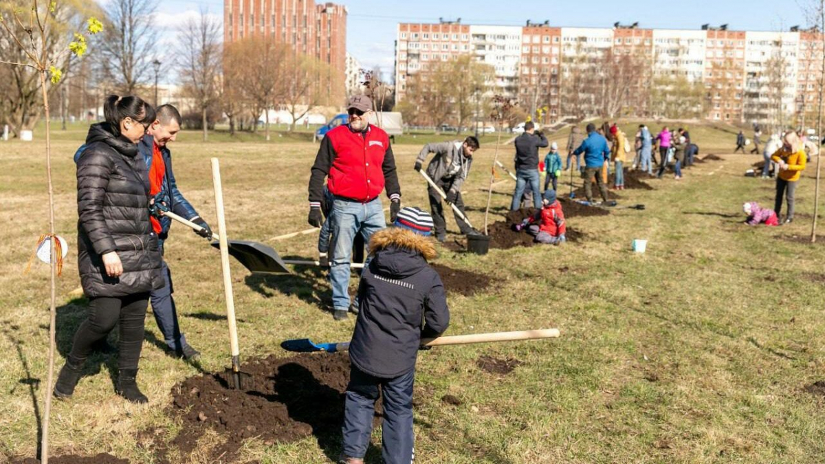 В Петербурге снова перенесли субботник: он должен состояться 18 мая |  Телеканал Санкт-Петербург