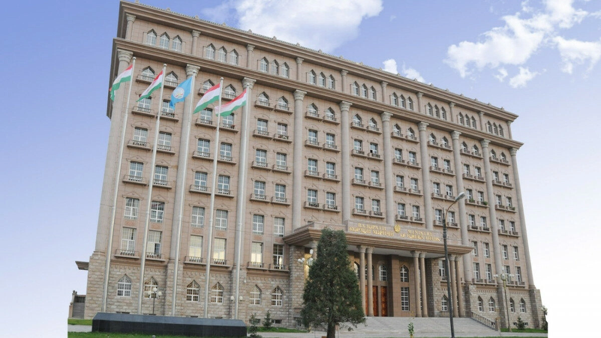 Таджикистан рекомендовал своим гражданам воздержаться от поездок в Россию - tvspb.ru