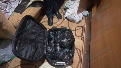 Под Петербургом нашли чемодан с расчлененным телом женщины: убийца провел с останками 4 дня
