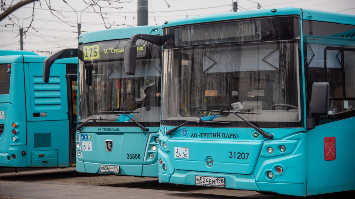 В 2024 году парк общественного транспорта Петербурга пополнят сотни единиц новой техники - tvspb.ru
