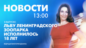 Новости Петербурга к 13:00