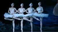 Балет «Лебединое озеро» представят на сцене Эрмитажного театра 12 мая