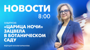 Новости Петербурга к 8:00