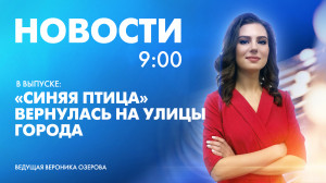Новости Петербурга к 9:00
