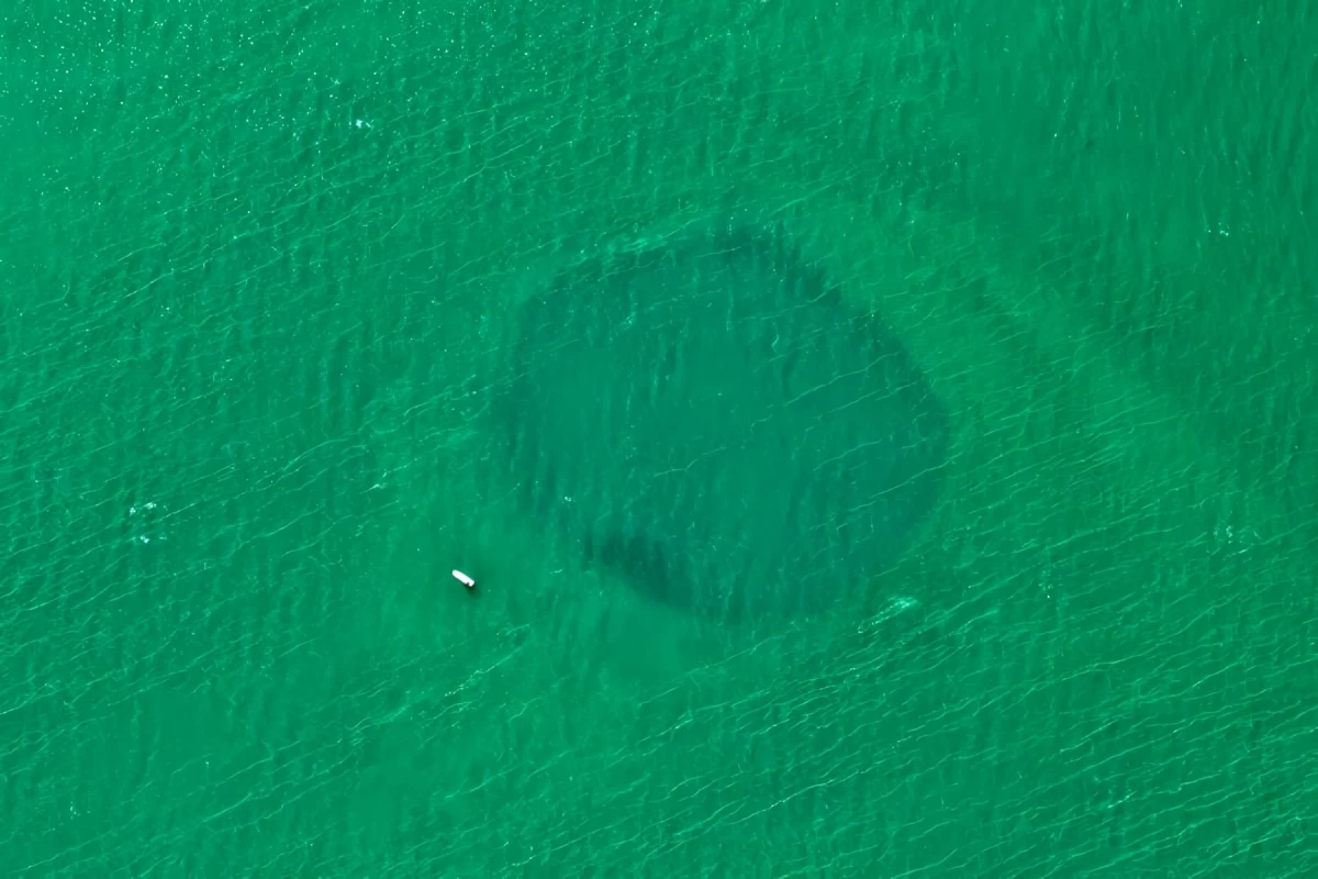 Ученые нашли у берегов Мексики самую глубокую в мире голубую дыру - tvspb.ru