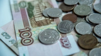 Рост просрочки в микрофинансовом секторе превысил 33% — предупреждение ЦБ