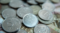 В Минфине призвали проиндексировать ставки на подакцизные товары на уровень инфляции