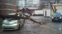 «Разбило машины, снесло крышу»: непогода сегодня бушует по всей России