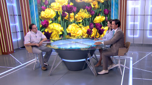 Самые петербургские топонимы и новые названия на карте города