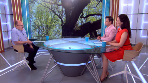 Первые шаги в дикую природу: самые доступные маршруты по Ленобласти для начинающих туристов