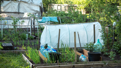 Эколог рассказал, как спасти залитые дождями культуры