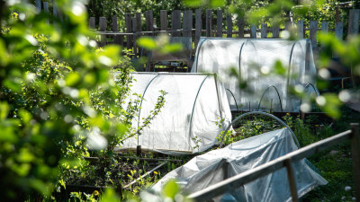 Синоптики дали советы дачникам по уходу за огородом после первого снега