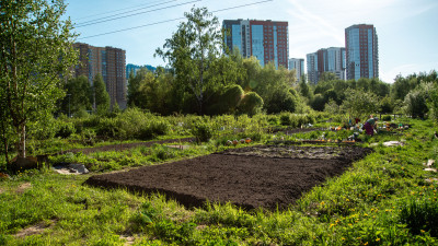 Цены продолжают расти: во сколько раз подорожала земля в регионах России после отмены крепостного права