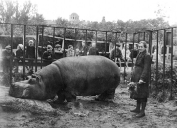 Выставка «Зоосад в годы блокады» откроется в Ленинградском зоопарке