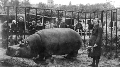 Выставка «Зоосад в годы блокады» откроется в Ленинградском зоопарке
