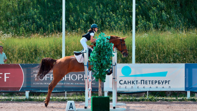 Соревнования по конкуру на Кубок Губернатора пройдут в Ленобласти